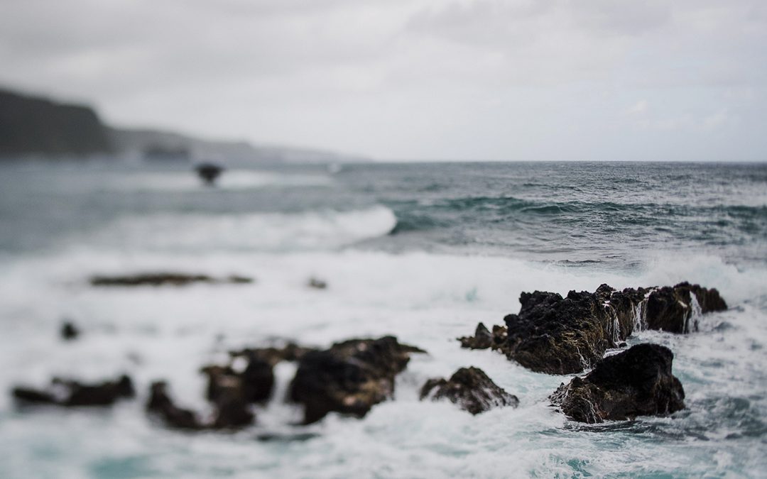 Lorem ipsum 6