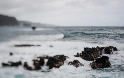 Lorem ipsum 6